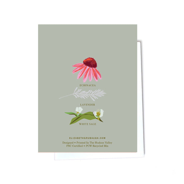 Echinacea Flower Blank Greeting Card - Freshie & Zero Studio Shop
