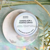 Incense Cones: Dandelion + Pampas Grass - Freshie & Zero Studio Shop