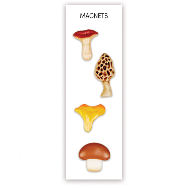 Set of four Mushroom Mighties® magnets by Three by Three Seattle, featuring colorful mushroom designs for home decor.