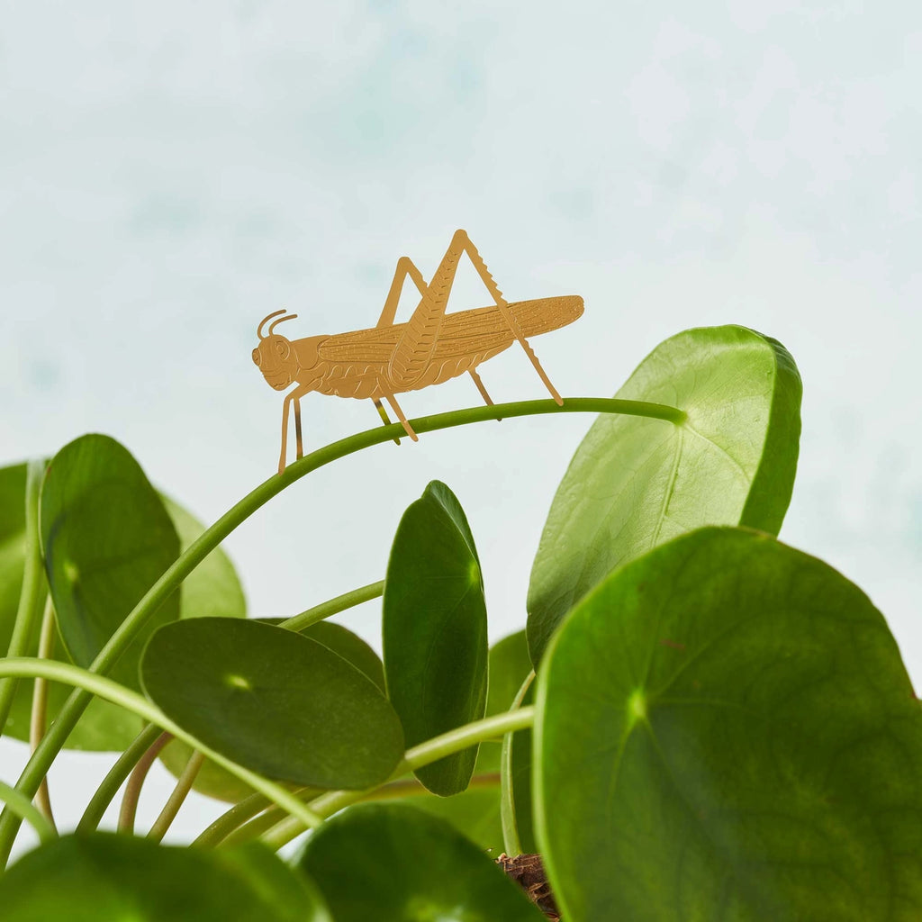 Brass Plant Accessory: Grasshopper - Freshie & Zero Studio Shop