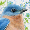 Bluebird Illustration - Fine Art Print - Freshie & Zero Studio Shop