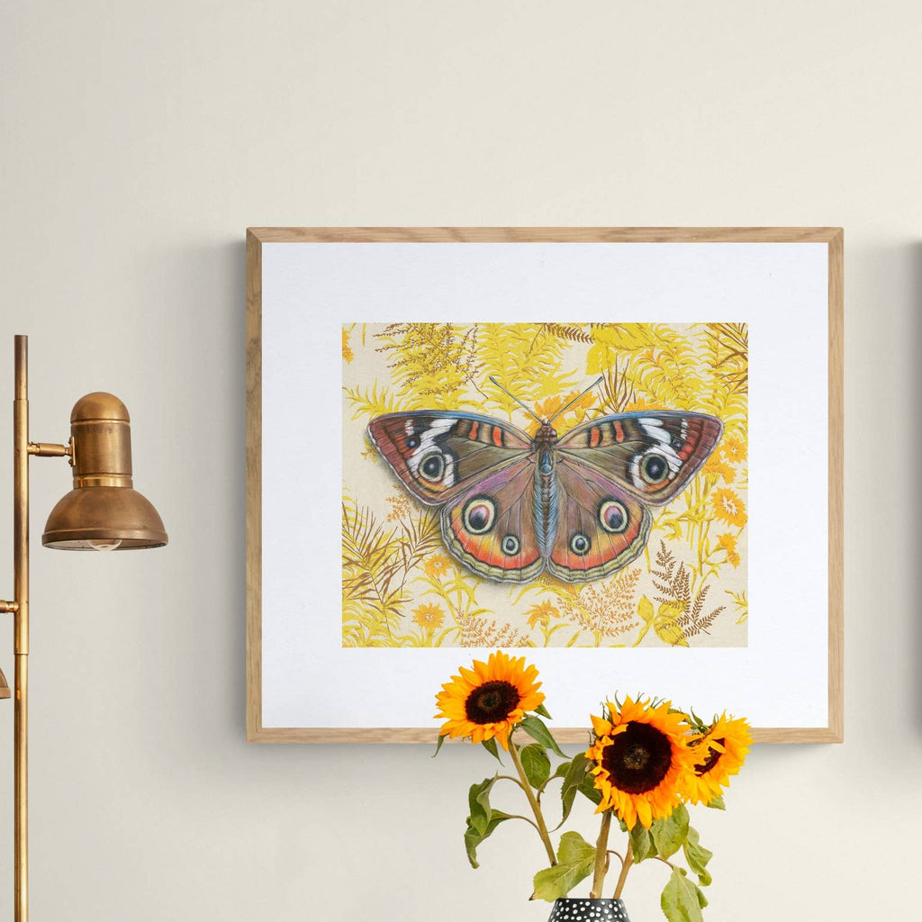 Buckeye Butterfly Illustration - Fine Art Print - Freshie & Zero Studio Shop