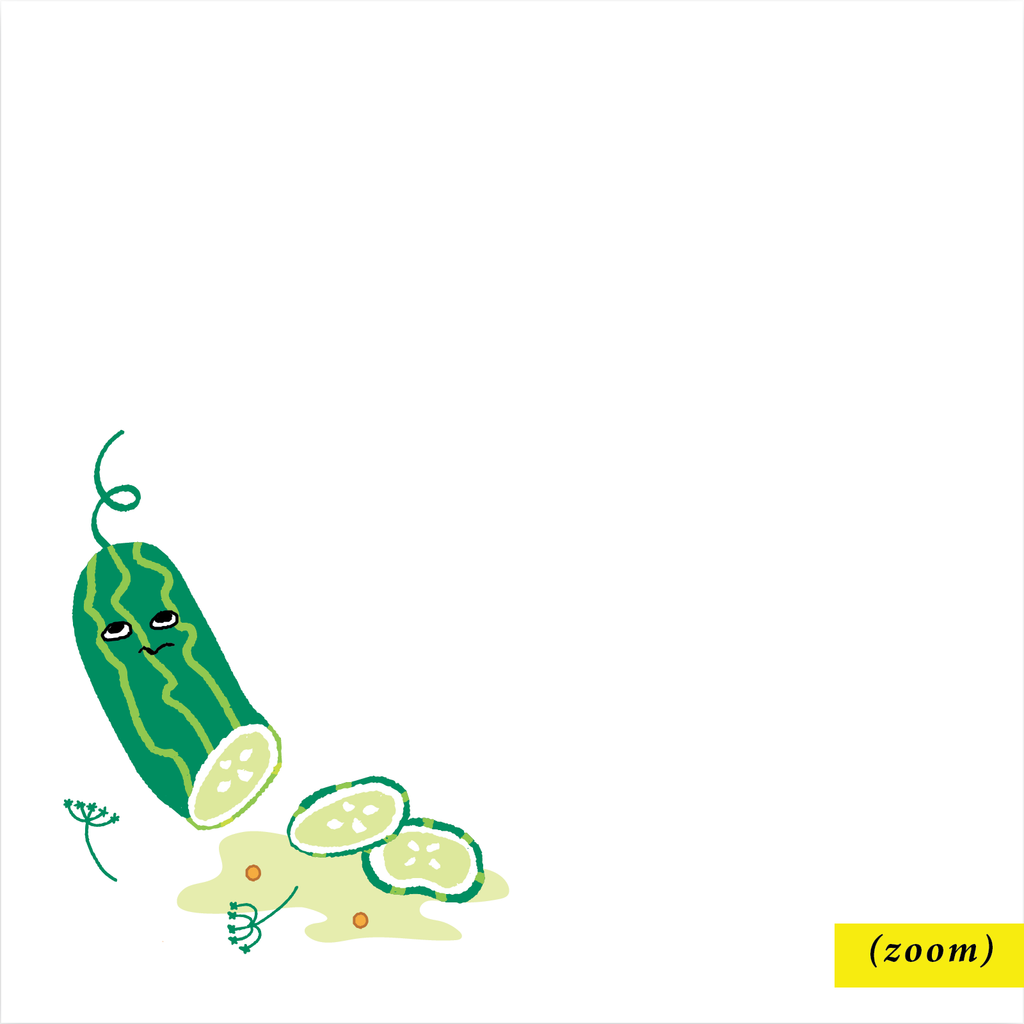 Salty Pickles Notepad - Freshie & Zero Studio Shop