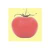 Sticky Notes: Tomato - Freshie & Zero Studio Shop