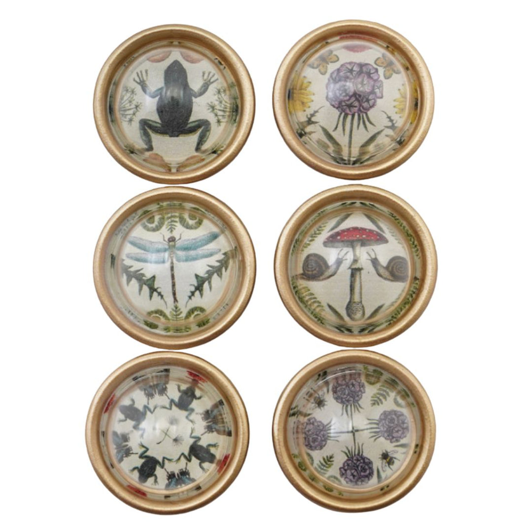 Vintage Style Animal and Botanical Magnets, Set of 6– Freshie & Zero