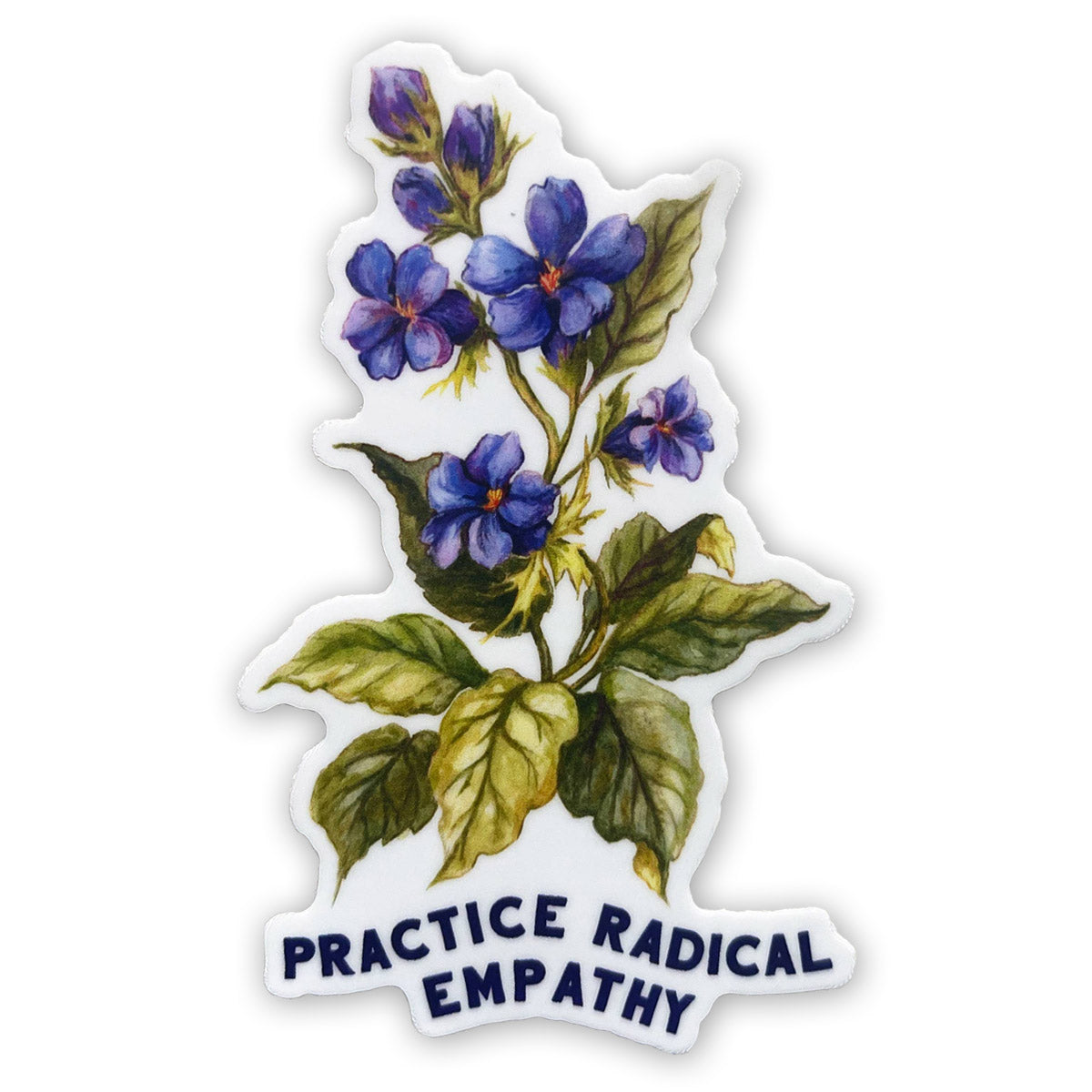 Practice Radical Empathy Vinyl Sticker– Freshie & Zero