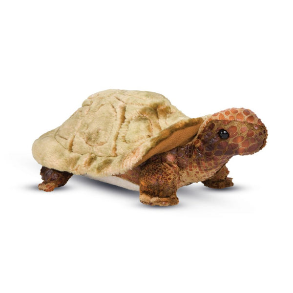 Soft Speedy the Tortoise plush toy from Douglas, with detailed green shell and gentle expression, perfect for cuddling and play.