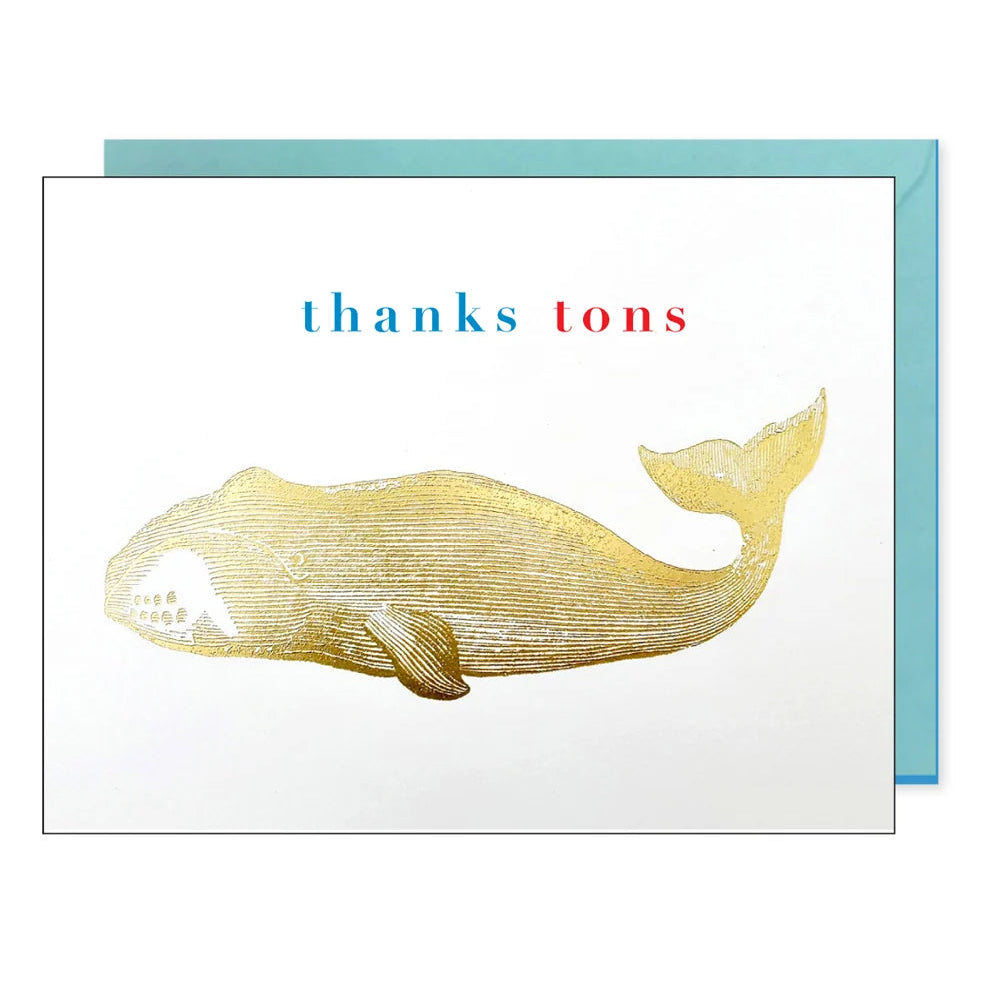 Set of 8 whale-themed thank you greeting cards by J Falkner in a boxed set, featuring elegant whale illustrations on a white background.