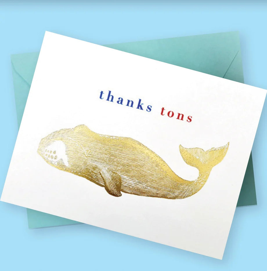 Set of 8 whale-themed thank you cards by J Falkner, featuring colorful ocean-inspired illustrations on high-quality cardstock.