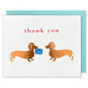 Boxed set of 8 Dachshund Thank You Cards featuring copper-colored dachshund illustrations by J Falkner.