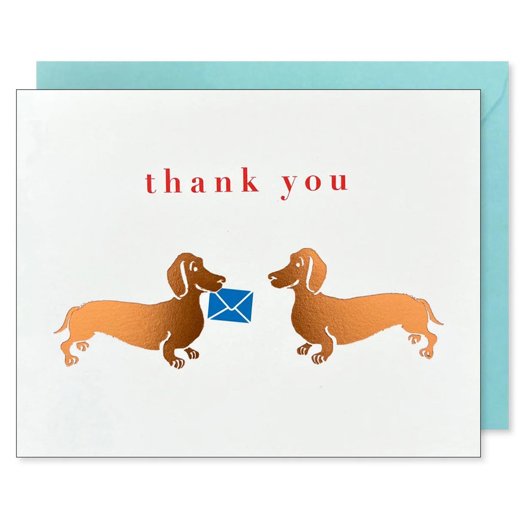 Boxed set of 8 Dachshund Thank You Cards featuring copper-colored dachshund illustrations by J Falkner.