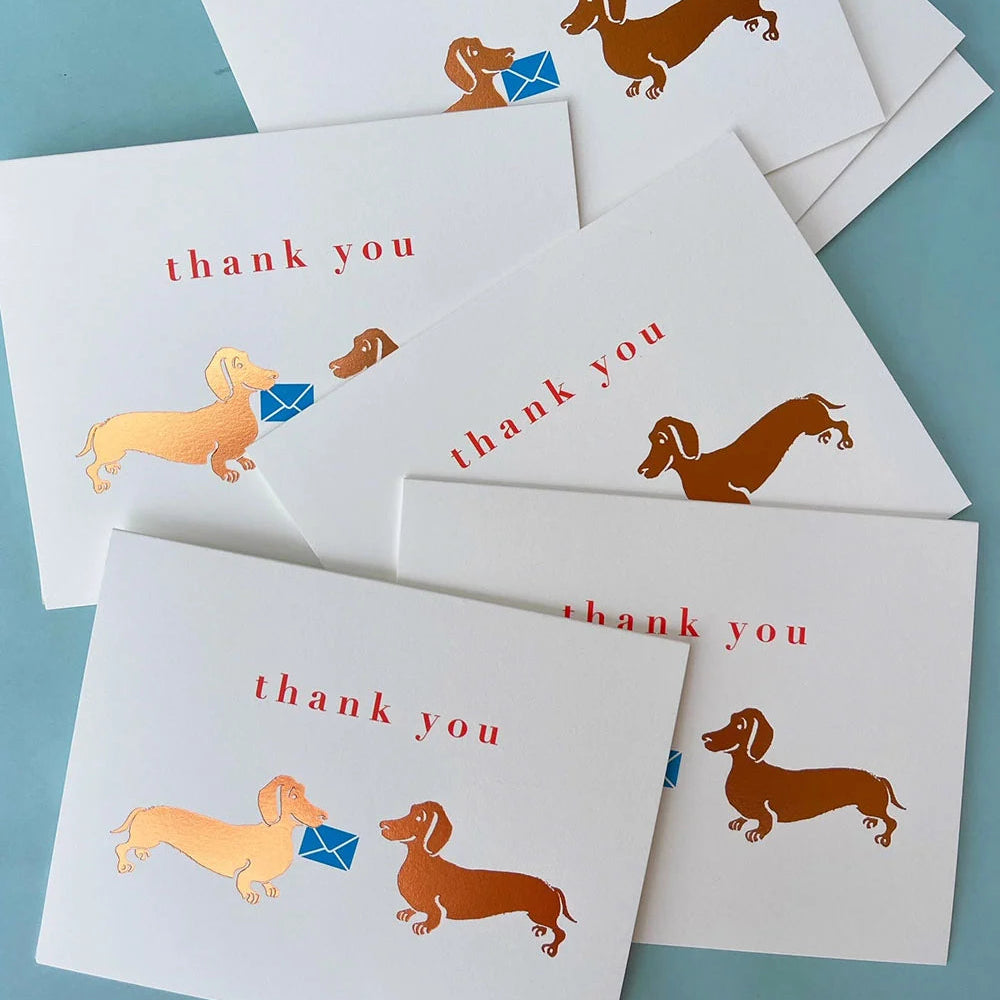 Set of 8 Dachshund-themed thank you cards by J Falkner featuring cute dog illustrations in a boxed greeting card set.