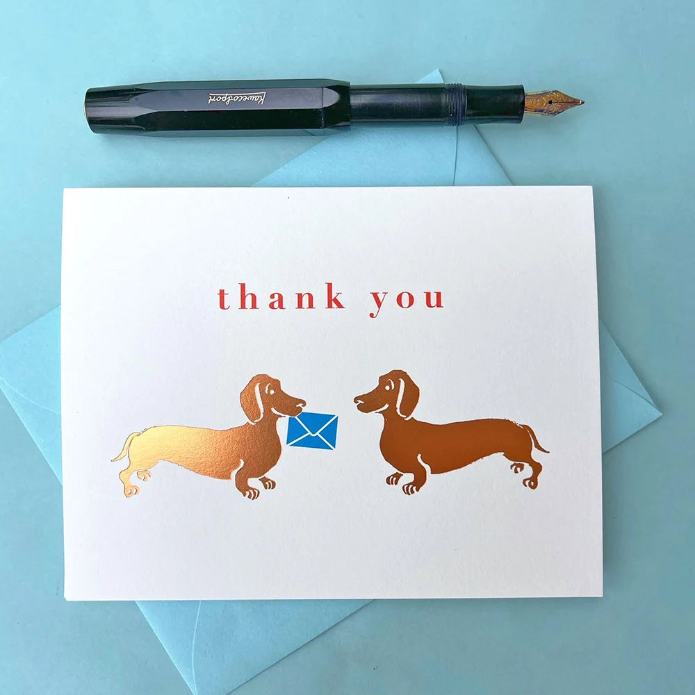 Set of 8 Dachshund thank you cards by J Falkner featuring cute dachshund illustrations for greeting and note purposes.