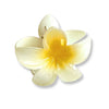 Tropical Flower Bloom Hair Claw Clips - Freshie & Zero Studio Shop