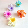 Tropical Flower Bloom Hair Claw Clips - Freshie & Zero Studio Shop