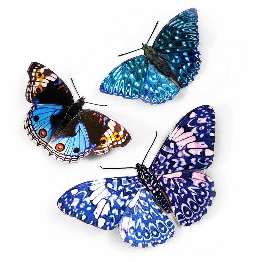 Life-Like Paper Butterfly & Moth Sets - Freshie & Zero Studio Shop