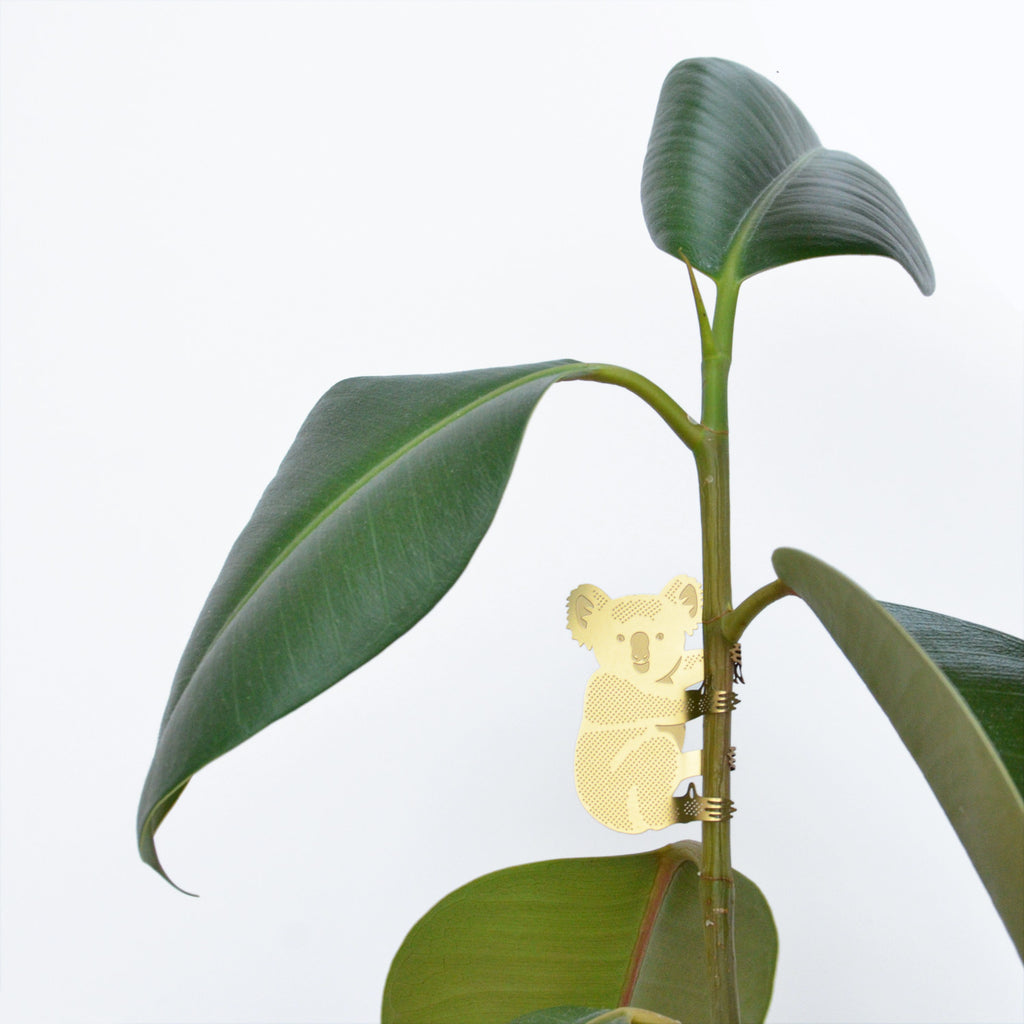 Brass Plant Accessory: Koala Bear - Freshie & Zero Studio Shop