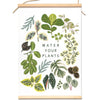 Hanging Canvas Banner: Water Your Plants - Freshie & Zero