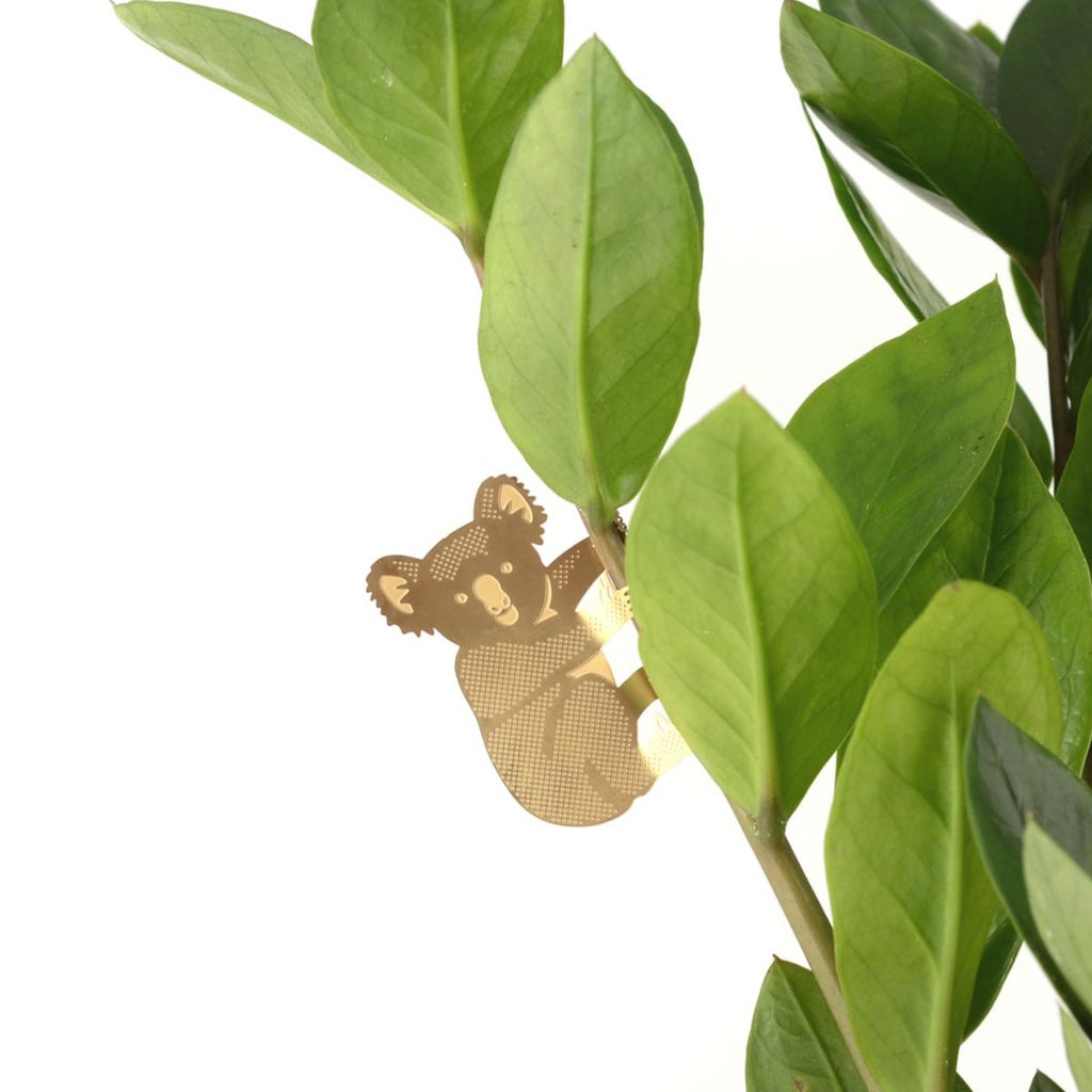 Brass Plant Accessory: Koala Bear - Freshie & Zero Studio Shop