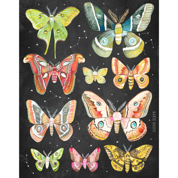 Katie Daisy Print - Moths on Black - Freshie & Zero