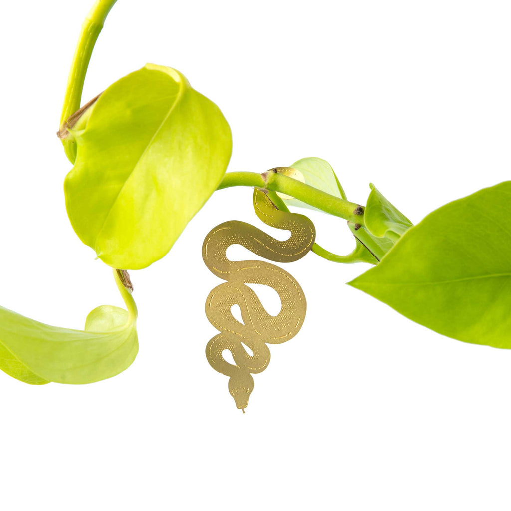Brass Plant Accessory: Snake - Freshie & Zero Studio Shop