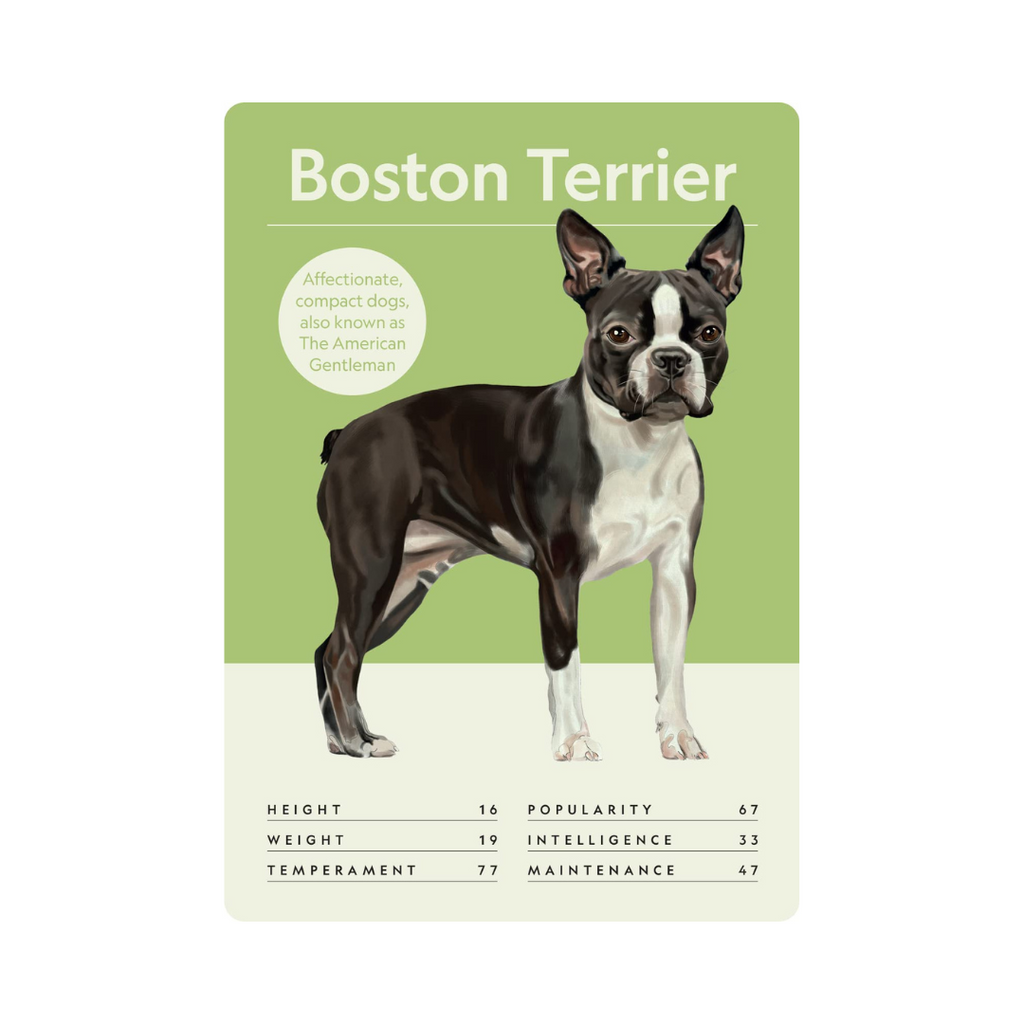 Dog Nerd: Battle of the Breeds Card Game - Freshie & Zero Studio Shop