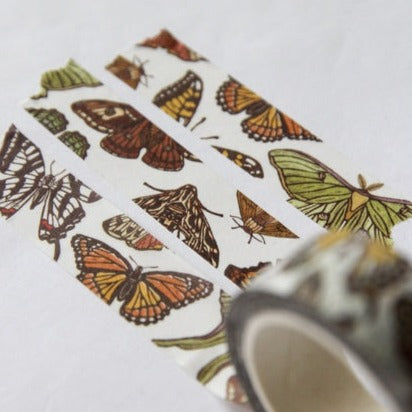 Root & Branch Washi Tape: Butterfly + Moth - Freshie & Zero