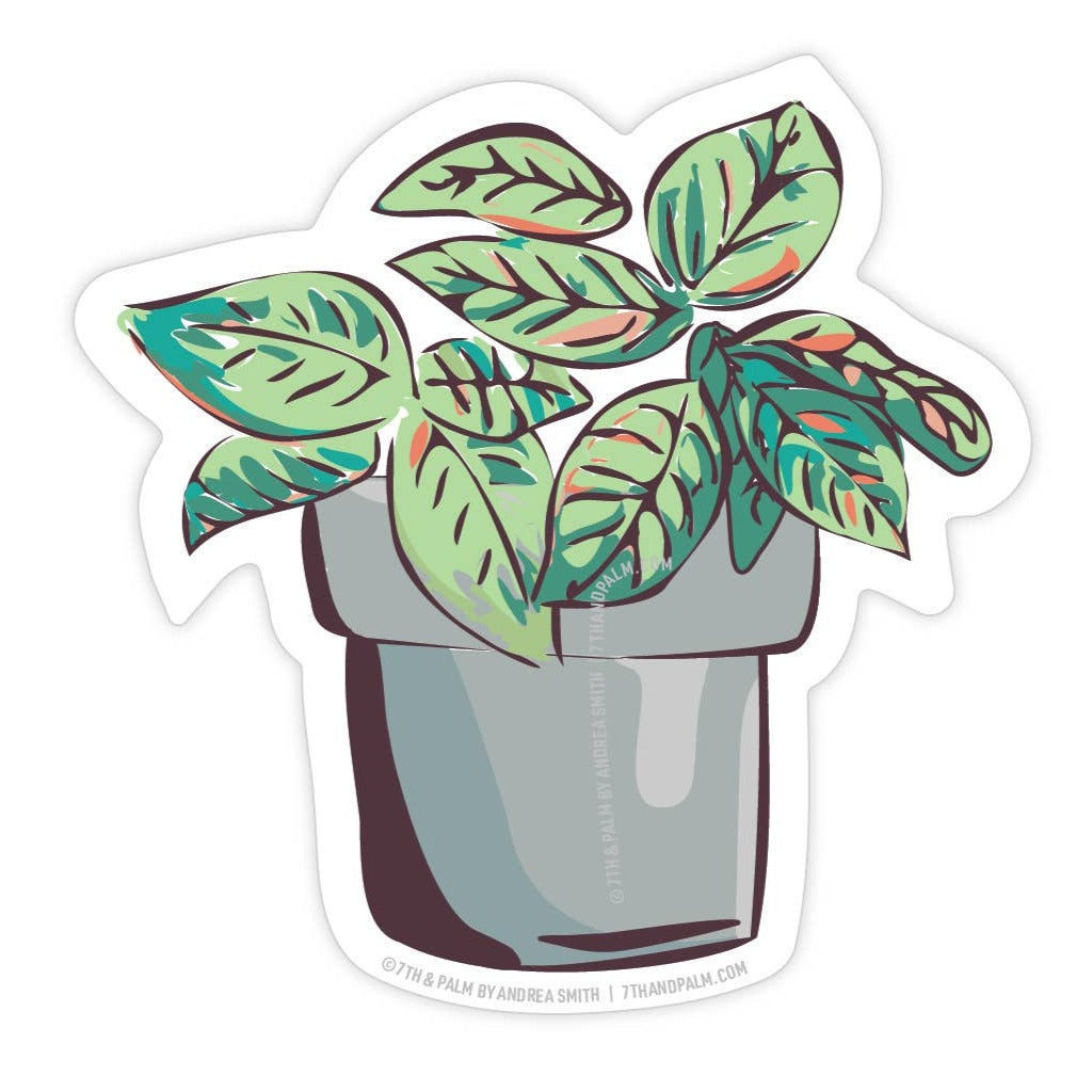 Pothos Plant Sticker - Freshie & Zero Studio Shop