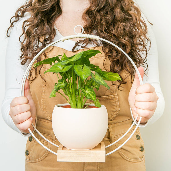Plant Hanger (Light & Airy) - Freshie & Zero Studio Shop
