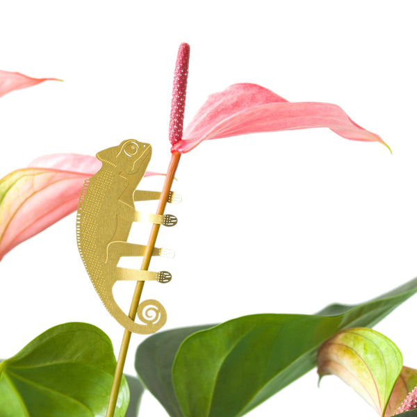 Brass Plant Accessory: Chameleon - Freshie & Zero Studio Shop