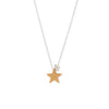 Tiny Mighty Vermeil Star Necklace - Freshie & Zero