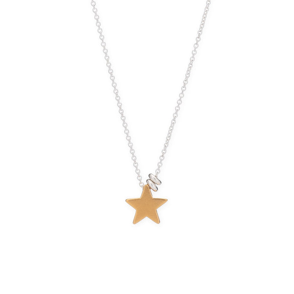 Tiny Mighty Vermeil Star Necklace - Freshie & Zero