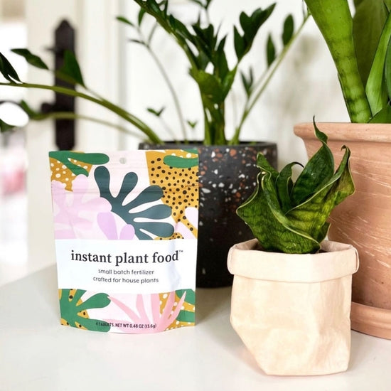 Instant Plant Food for Houseplants & Indoor Plants - Freshie & Zero Studio Shop