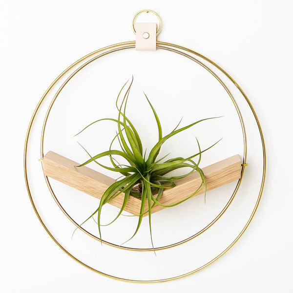 V-Hanger (Classic Shimmer) - Freshie & Zero Studio Shop