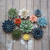 Ceramic Succulent (Blue) - Chive - Freshie & Zero Studio Shop