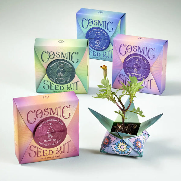 Cosmic Seed Kit - Modern Sprout - Freshie & Zero Studio Shop