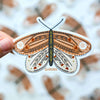 Illustrated Butterfly Sticker - Freshie & Zero Studio Shop