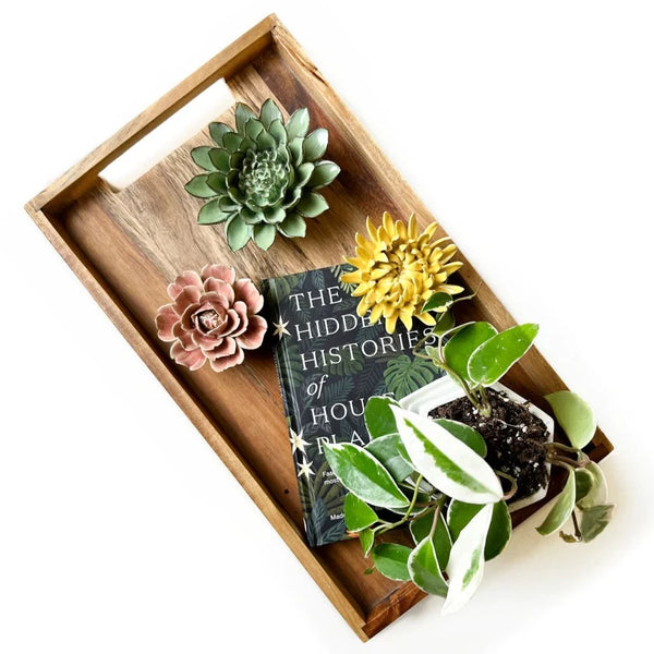 Dawn | Ceramic Flower Gift Sets - Chive - Freshie & Zero Studio Shop