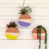 Color Dipped Circle Wall Pot - Freshie & Zero Studio Shop