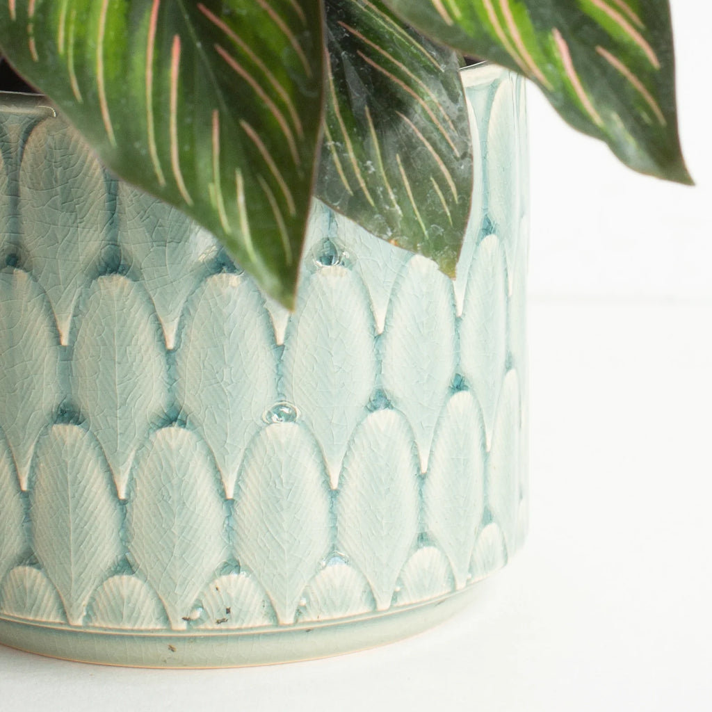 Plant Pot by Danica - Plume Medium - Freshie & Zero Studio Shop
