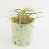 Confetti Mini Planter by Quiet Clementine - Freshie & Zero