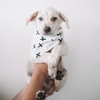 handmade pet bandana black and white by the paws