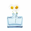 Mini Rectangle Vase - Blue - Freshie & Zero Studio Shop