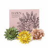 Dawn | Ceramic Flower Gift Sets - Chive - Freshie & Zero Studio Shop