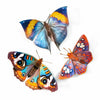 Life-Like Paper Butterfly & Moth Sets - Freshie & Zero Studio Shop