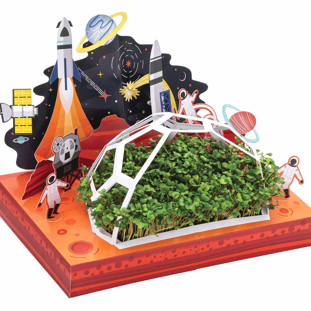 Broccoli Microgreens Kit - Modern Sprout - Freshie & Zero Studio Shop