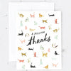 Boxed Thank you Cards by Idlewild: Cats - Freshie & Zero Studio Shop