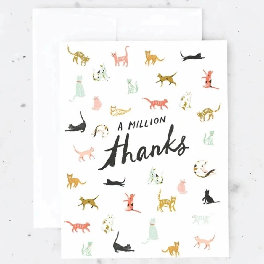 Boxed Thank you Cards by Idlewild: Cats - Freshie & Zero Studio Shop