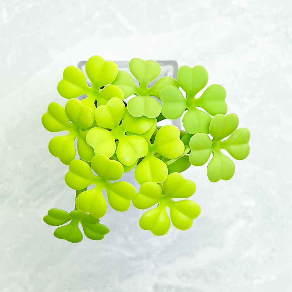 Clover Gel Pens - Freshie & Zero Studio Shop
