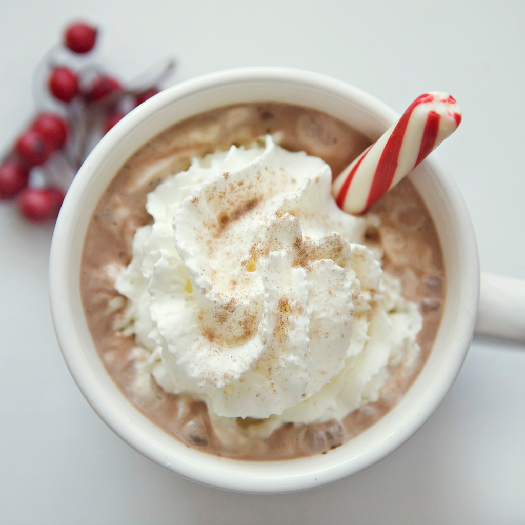 Peppermint Cocoa Cocoa Mix - Freshie & Zero